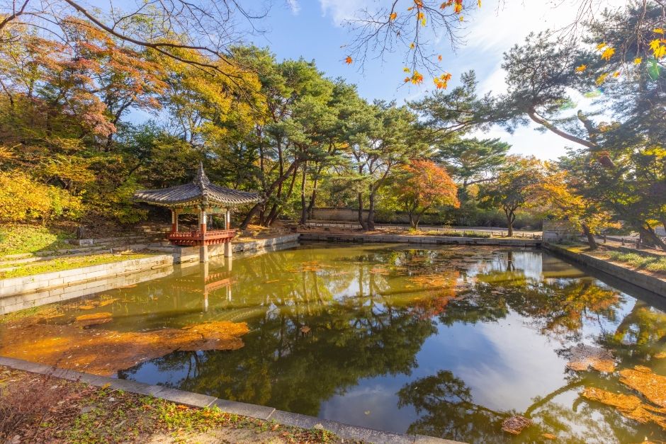 <단풍 명소> 창덕궁 후원