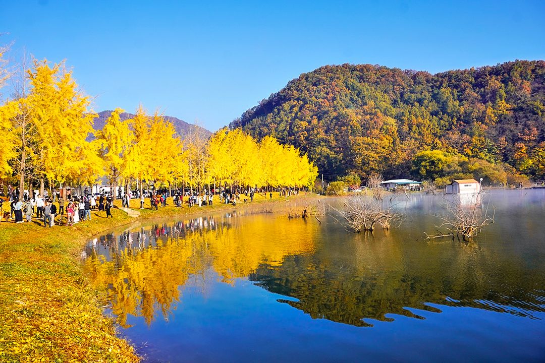 <단풍 명소> 문광저수지