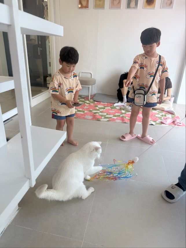 https://image.mom-mom.net/eyJidWNrZXQiOiJtb21tb20tbW9tc3RvdWNoIiwia2V5IjoicGxhY2VzLzY5MDMwNTRiYmRlZDI4NjY1ZjExMGUzYi5qcGVnIiwiZWRpdHMiOnsicmVzaXplIjp7IndpZHRoIjozNzUsImhlaWdodCI6NTAwfX19