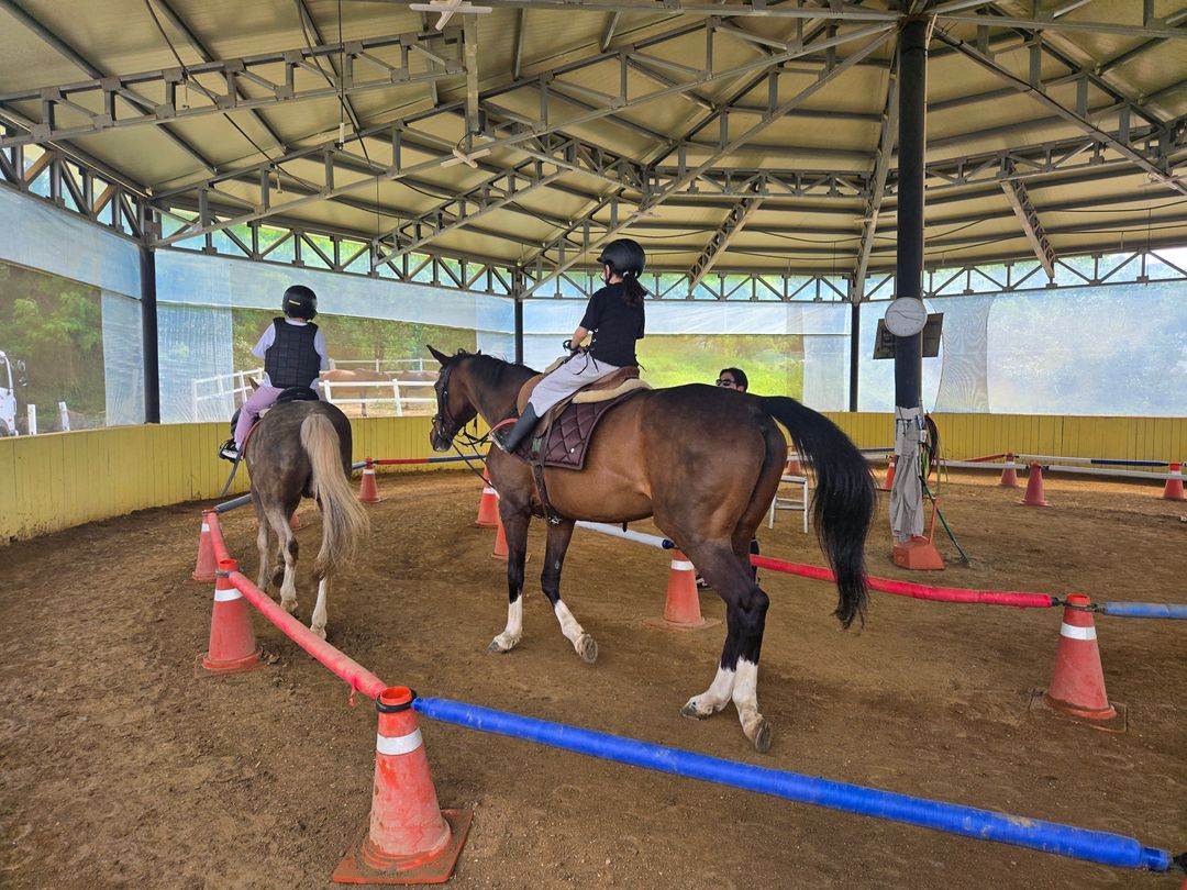 구미ROK힐링승마클럽