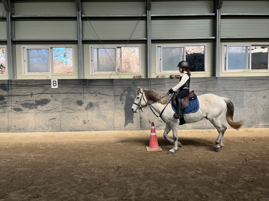 산도스카발리오홀스파크