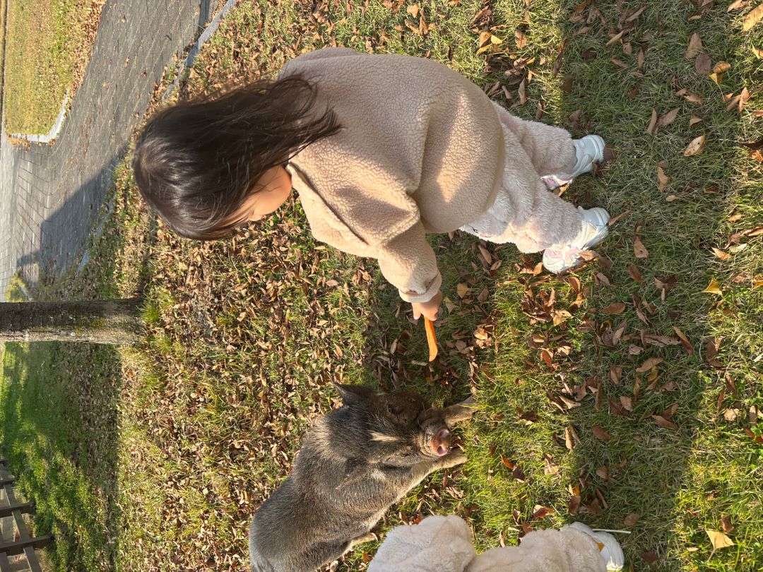 펫힐링 달빛동물원&오토캠핑장