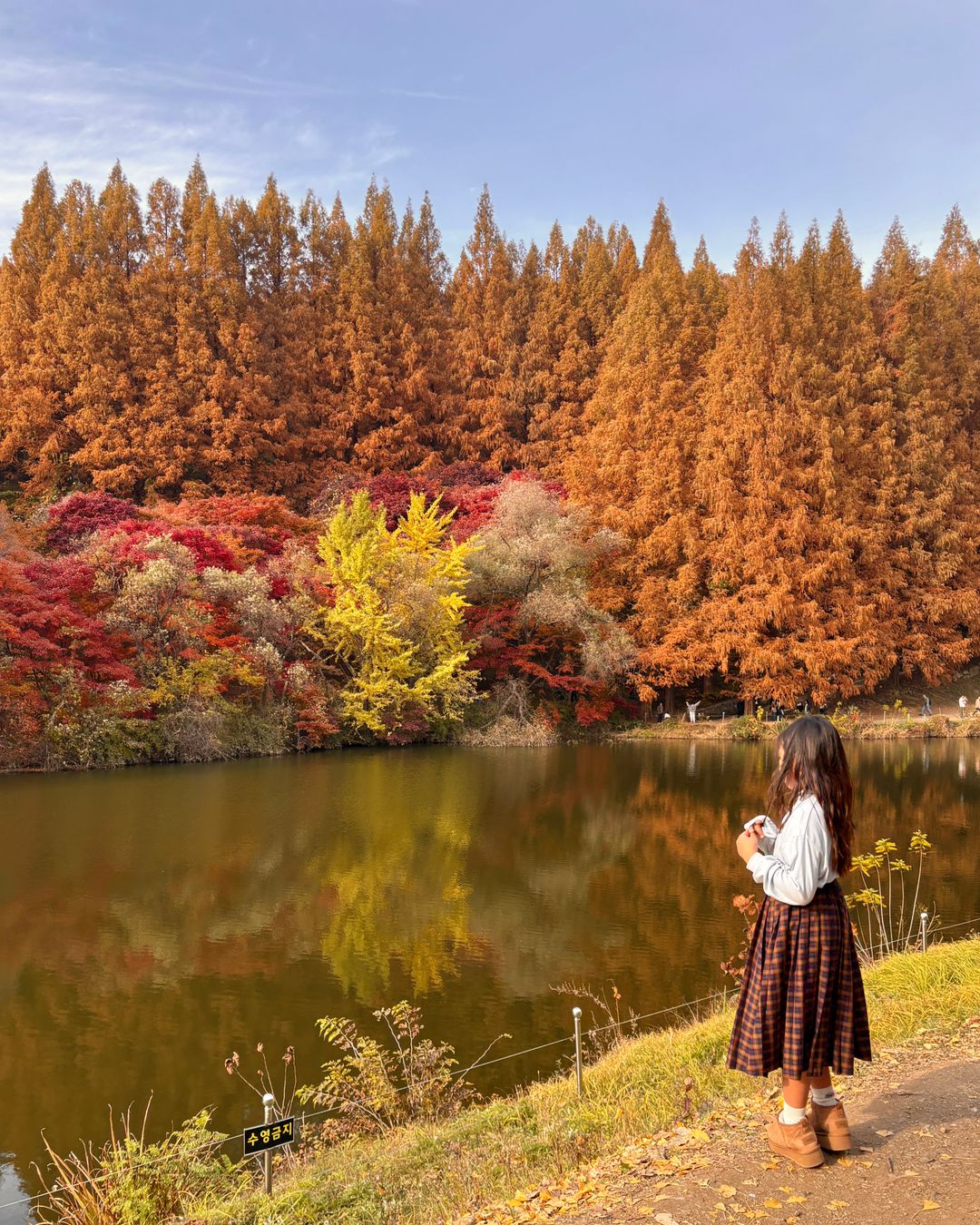 <단풍 명소> 한국외국어대학교 글로벌캠퍼스 명수당