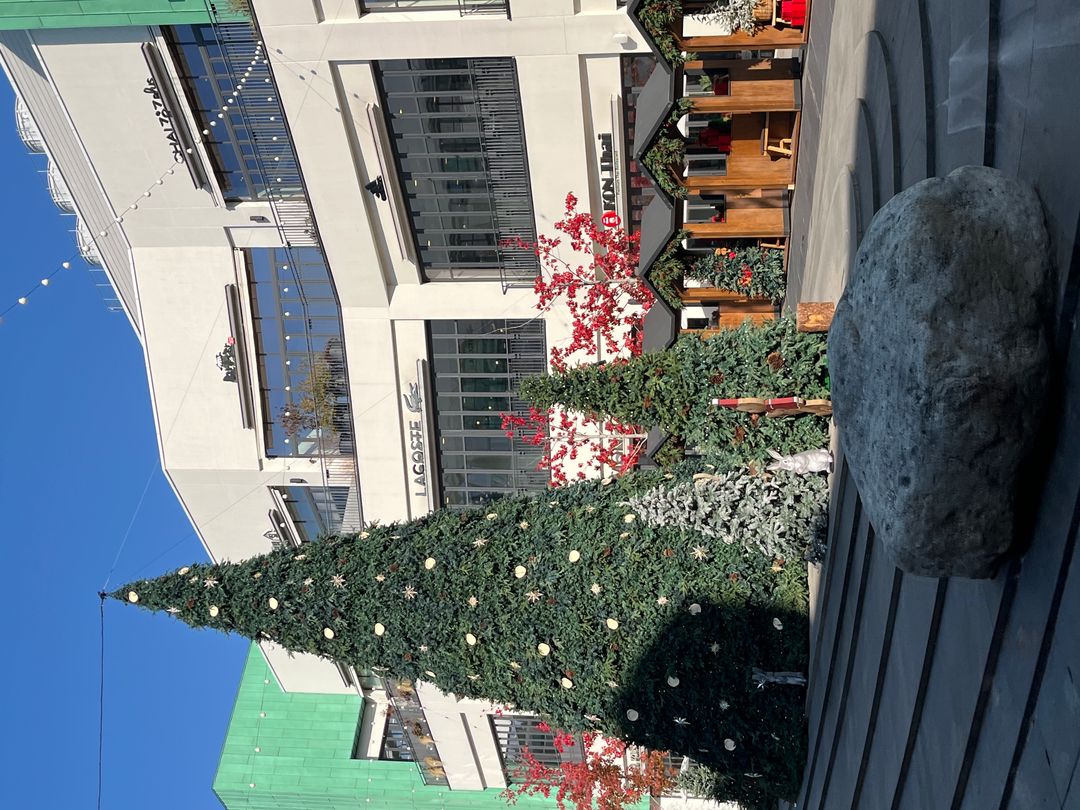 2025 현대프리미엄아울렛 대전 크리스마스 아뜰리에 드 노엘(~25/12/31)