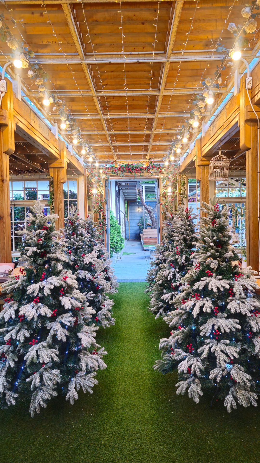 데이문 패밀리레스토랑