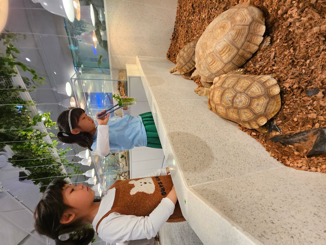 어푸어푸 스타필드빌리지 운정점