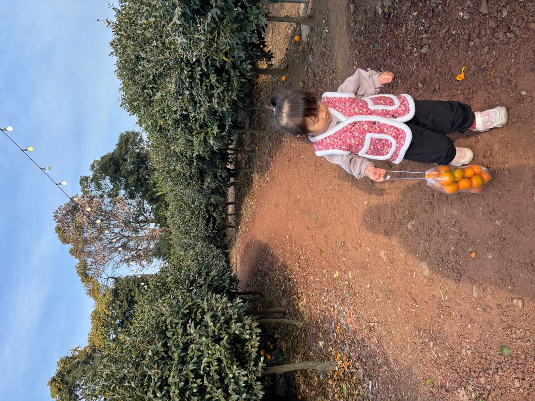 은하감귤체험농장