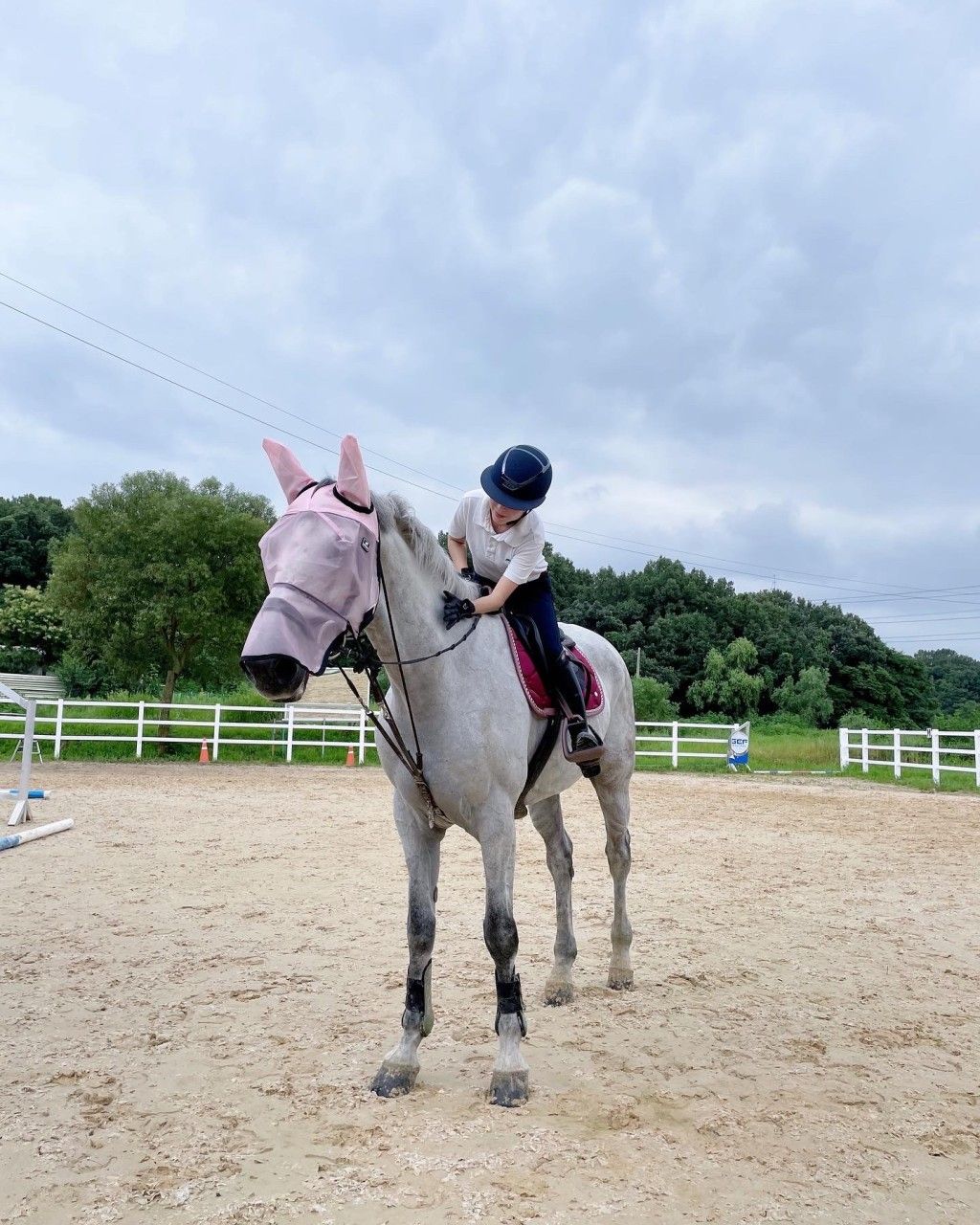 팀피SC스테이블 건국