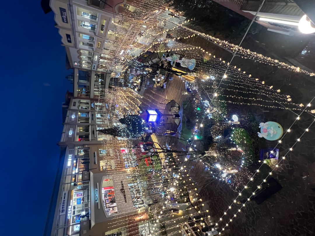 파주 프리미엄 아울렛 Magical Frozen Village(~26/02/01)