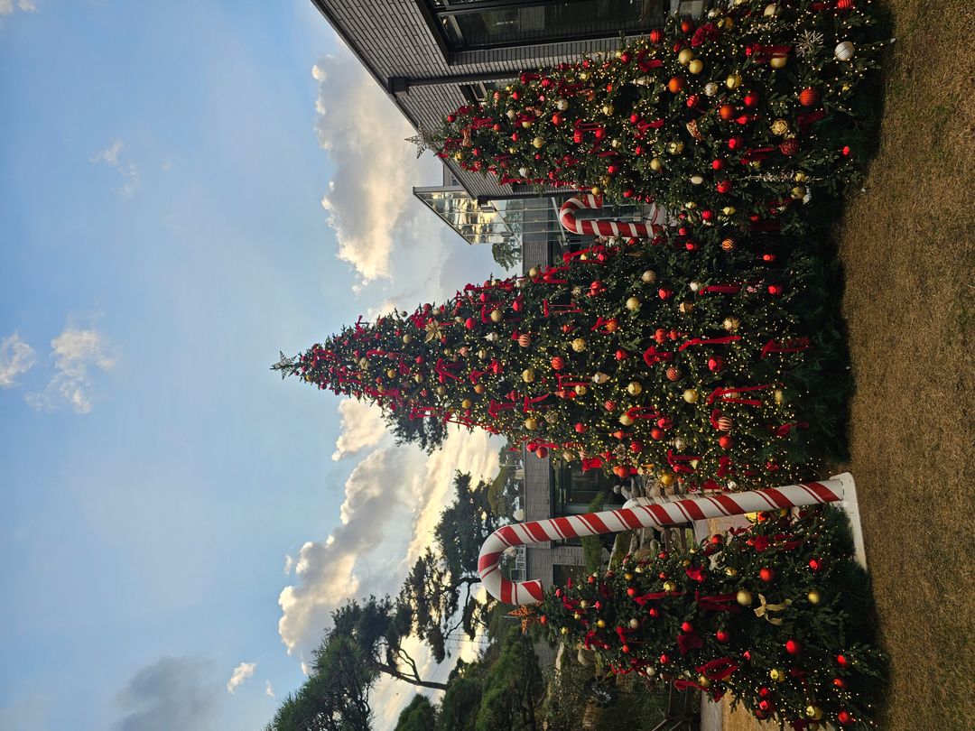 베이커리카페 공간