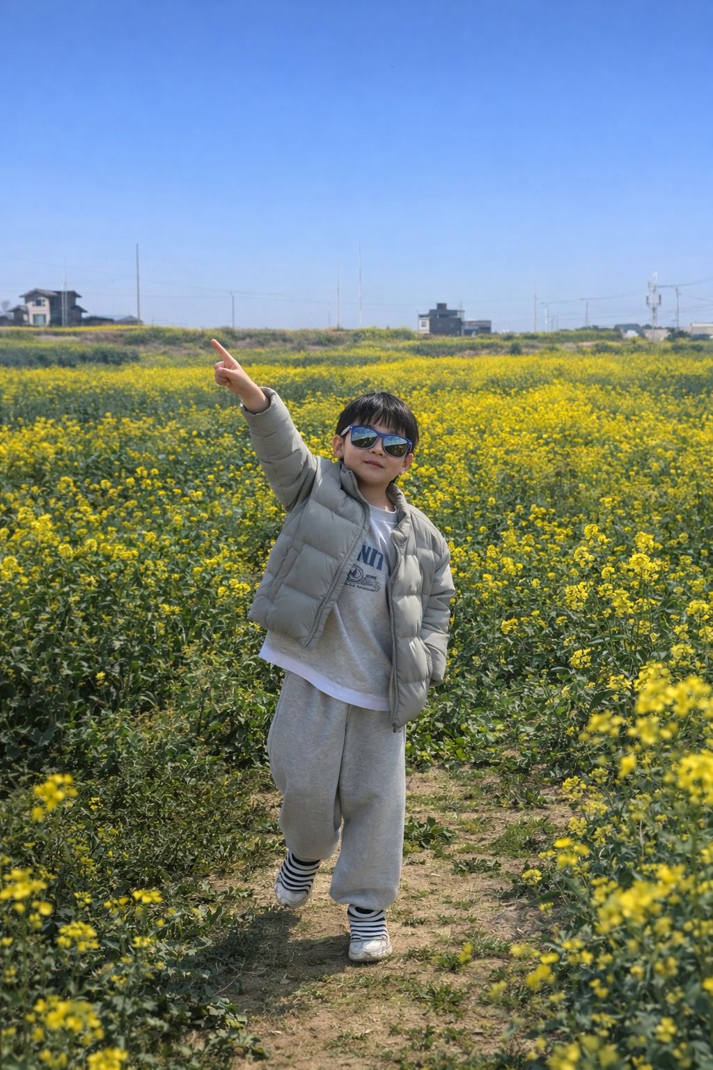 호미곶 유채꽃밭(포항대보리마을)