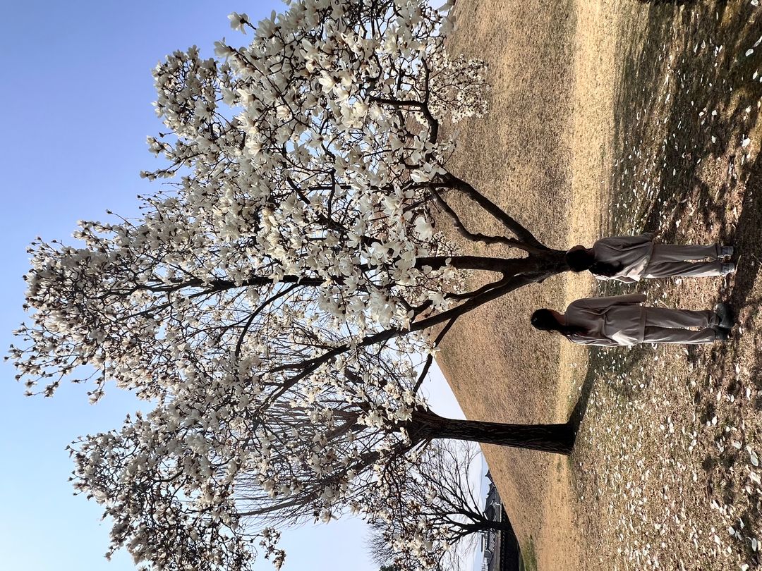 https://image.mom-mom.net/eyJidWNrZXQiOiJtb21tb20tbW9tc3RvdWNoIiwia2V5IjoicGxhY2VzLzY5YzllNDA0N2I2MTY3Njk5OGJjYzZiZi5qcGVnIiwiZWRpdHMiOnsicmVzaXplIjp7IndpZHRoIjo1MDAsImhlaWdodCI6Mzc1fX19
