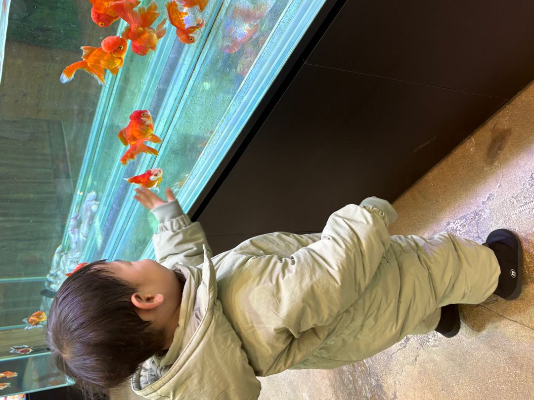 단짠아쿠아 김제점