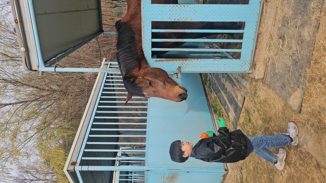 시흥힐링승마체험장