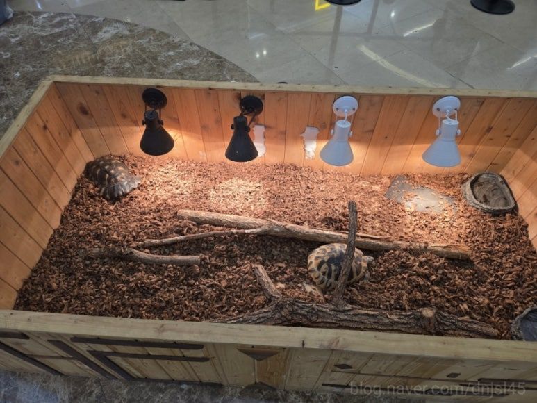 다흑의 반딧불이 팝업스토어(~ 26/04/19)