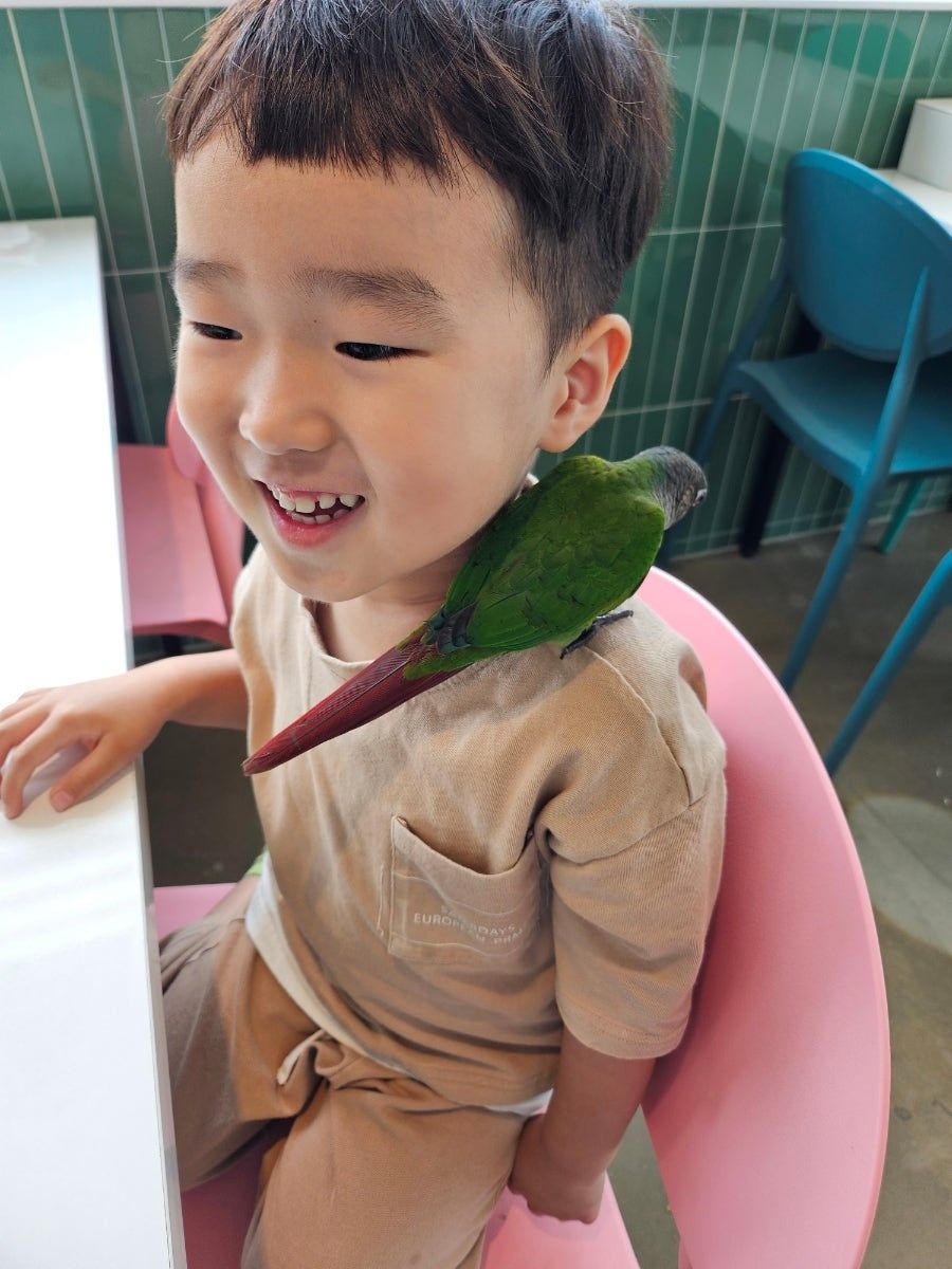 https://image.mom-mom.net/eyJidWNrZXQiOiJtb21tb20tbW9tc3RvdWNoIiwia2V5IjoicGxhY2VzLzY5ZDkwOTZkMTQxMGIwYzVlMmQ5OTE2MC5qcGciLCJlZGl0cyI6eyJyZXNpemUiOnsid2lkdGgiOjM3NSwiaGVpZ2h0Ijo1MDB9fX0=
