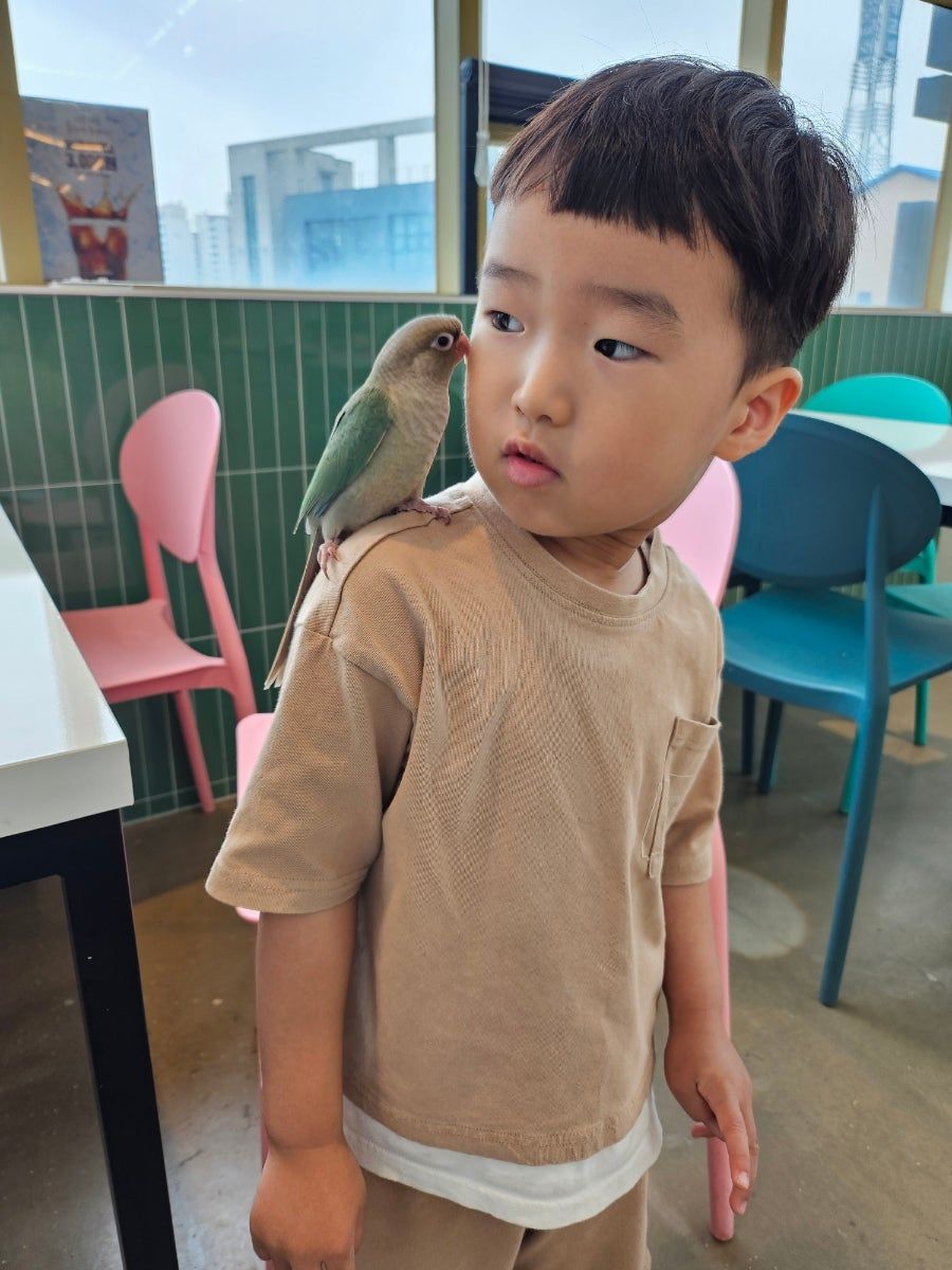 https://image.mom-mom.net/eyJidWNrZXQiOiJtb21tb20tbW9tc3RvdWNoIiwia2V5IjoicGxhY2VzLzY5ZDkwOTZkYzY1M2NlNjZmMmI2NDQ3OC5qcGciLCJlZGl0cyI6eyJyZXNpemUiOnsid2lkdGgiOjM3NSwiaGVpZ2h0Ijo1MDB9fX0=