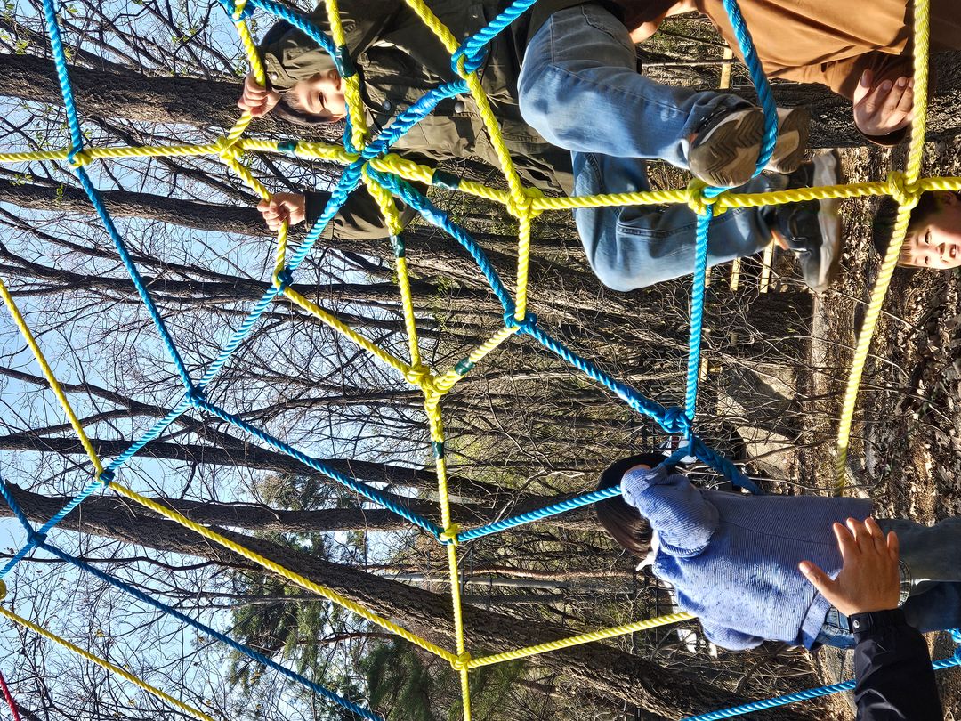 수락산 유아숲체험장