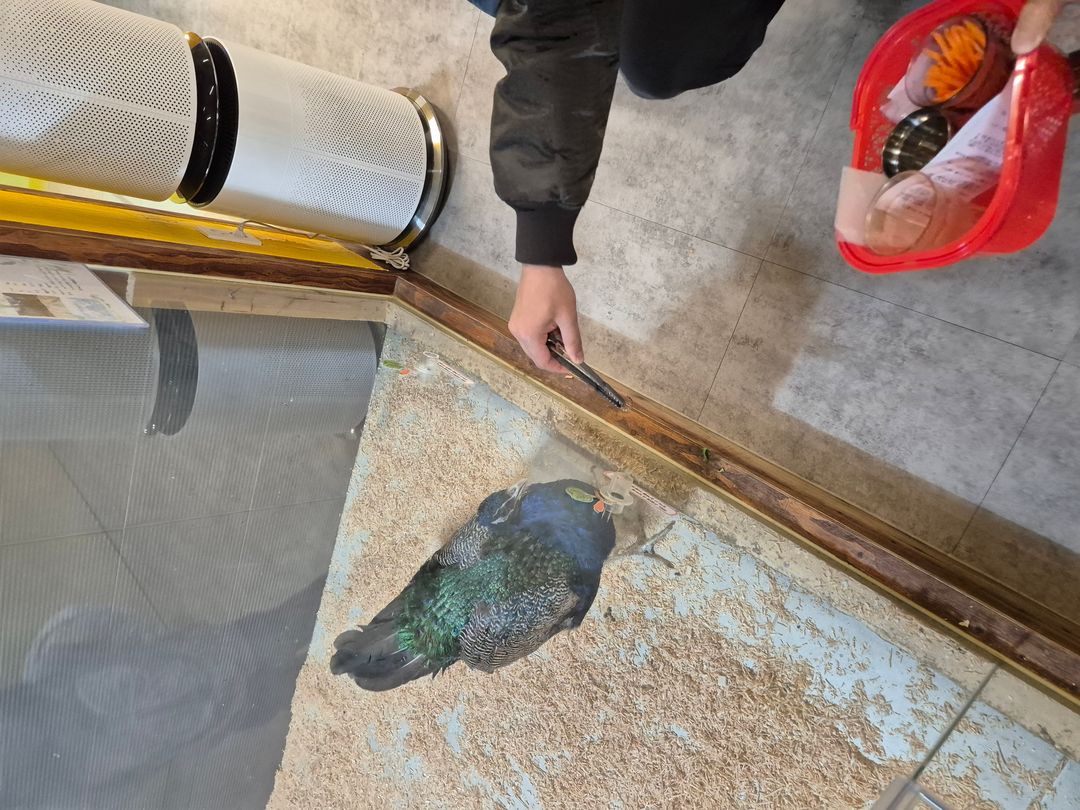 헬로애니멀 광주점