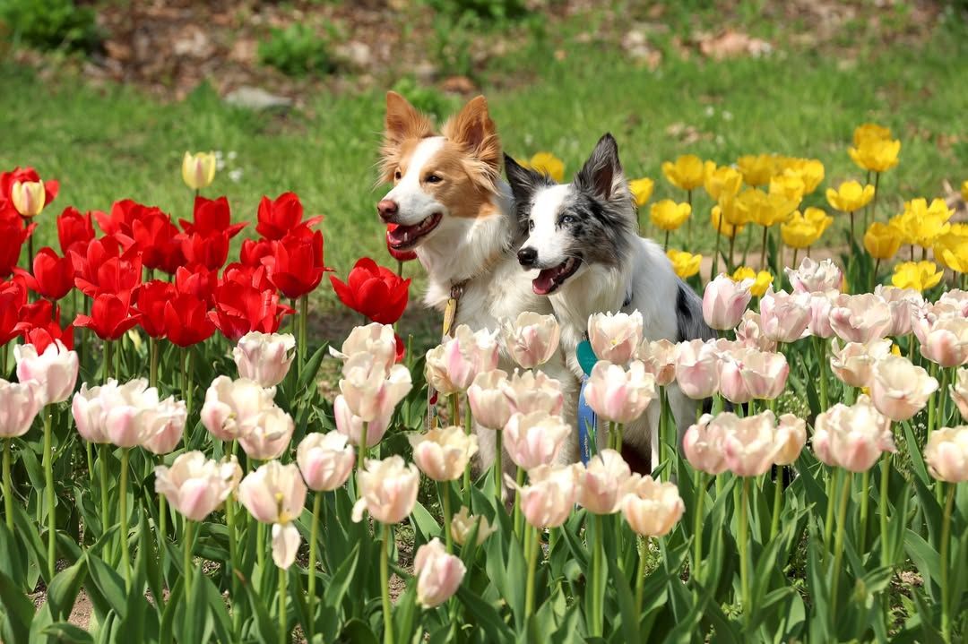 https://image.mom-mom.net/eyJidWNrZXQiOiJtb21tb20tbW9tc3RvdWNoIiwia2V5IjoicGxhY2VzLzY5ZTA3ZGU5MzIyZjY1MDkzYWE5OTUwNS5qcGciLCJlZGl0cyI6eyJyZXNpemUiOnsid2lkdGgiOjUwMCwiaGVpZ2h0IjozMzJ9fX0=