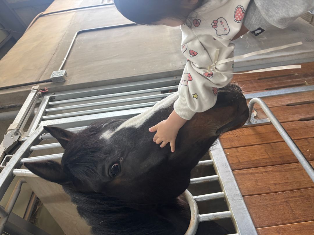 https://image.mom-mom.net/eyJidWNrZXQiOiJtb21tb20tbW9tc3RvdWNoIiwia2V5IjoicGxhY2VzLzY5ZTRkODRmMGU0ZmE0ZjRhZjg1NTE5Ni5qcGVnIiwiZWRpdHMiOnsicmVzaXplIjp7IndpZHRoIjo1MDAsImhlaWdodCI6Mzc1fX19