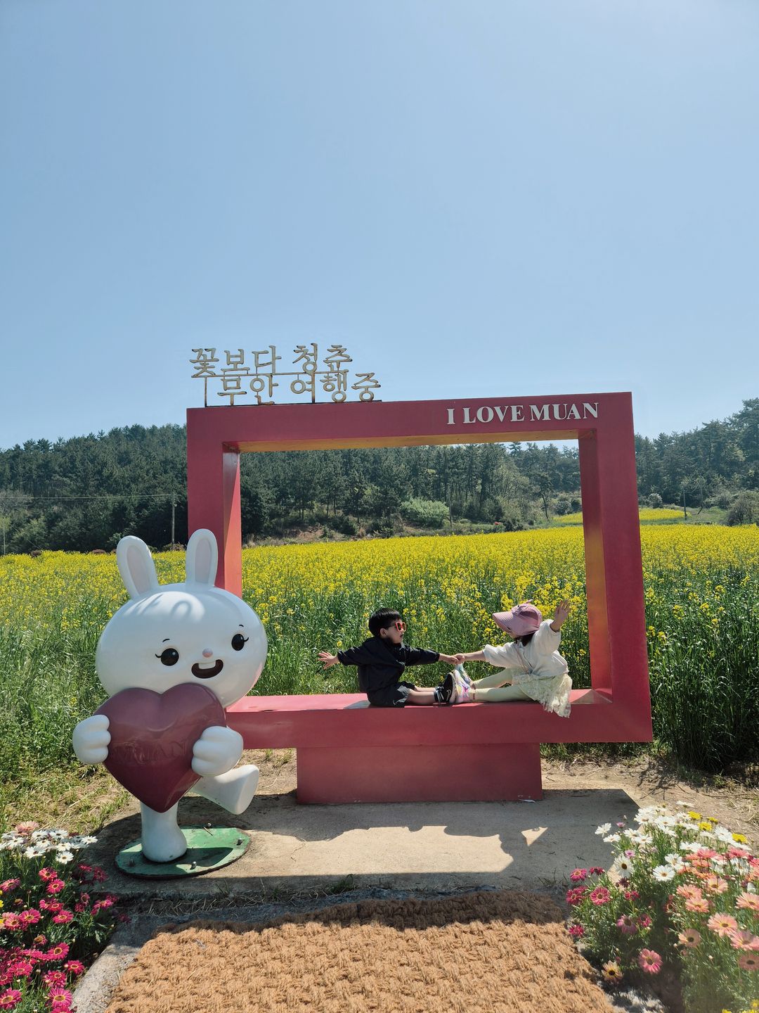 도리포 유채꽃(송계마을)