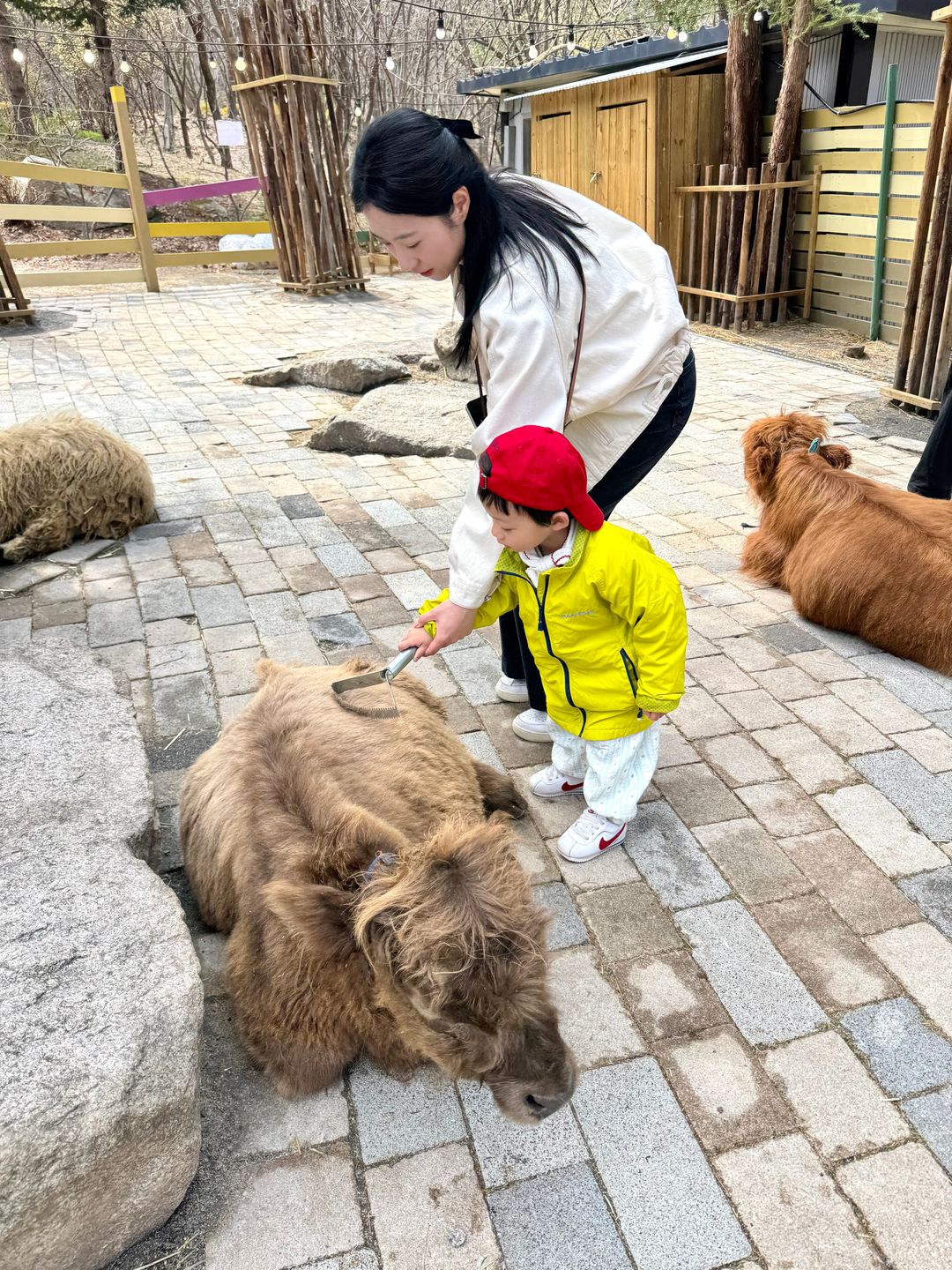https://image.mom-mom.net/eyJidWNrZXQiOiJtb21tb20tbW9tc3RvdWNoIiwia2V5IjoicGxhY2VzLzY5ZWZkY2YxNzU1YWVmNmUyNGIzMzVjYi5qcGVnIiwiZWRpdHMiOnsicmVzaXplIjp7IndpZHRoIjozNzUsImhlaWdodCI6NTAwfX19