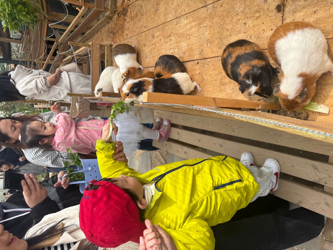 마이애니멀스토리 in 평강랜드