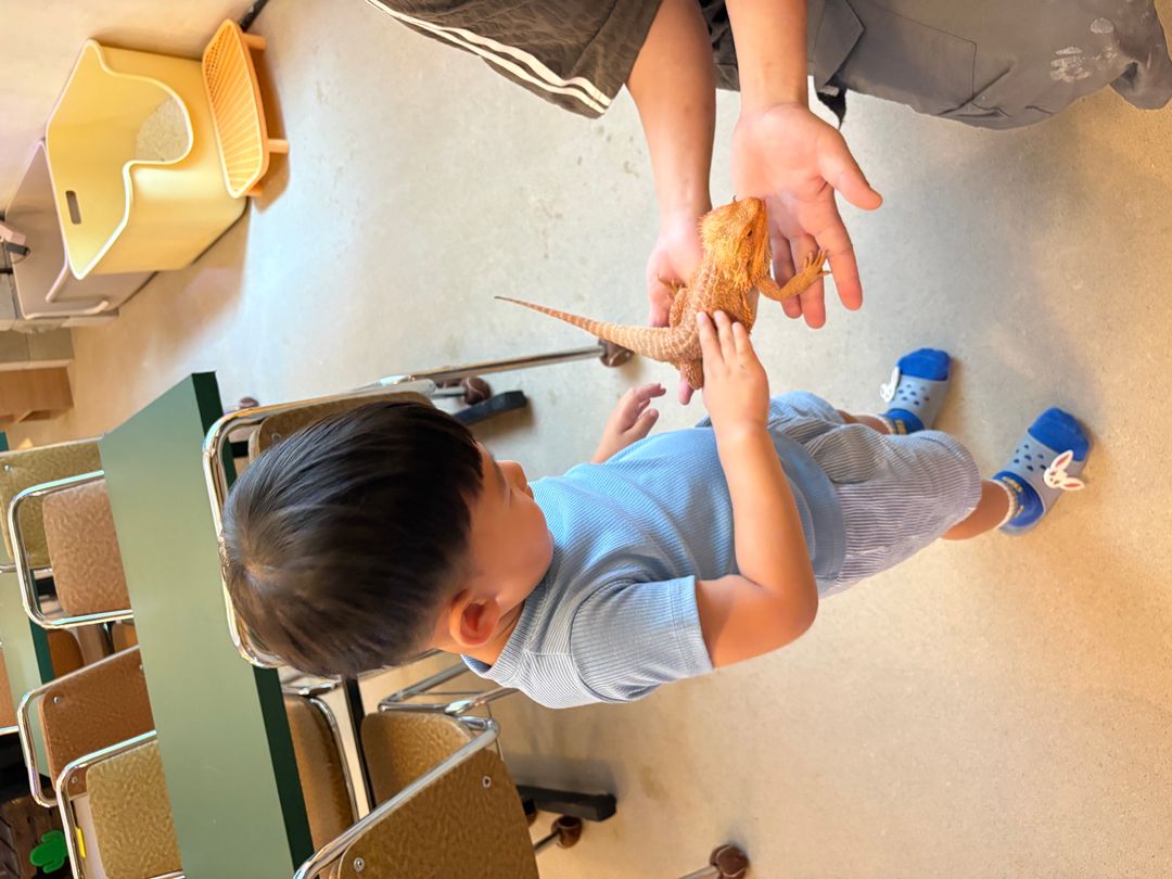 https://image.mom-mom.net/eyJidWNrZXQiOiJtb21tb20tbW9tc3RvdWNoIiwia2V5IjoicGxhY2VzLzZhNDRmZGZlNjZiZDhmZjljZTIzYzExNS5qcGVnIiwiZWRpdHMiOnsicmVzaXplIjp7IndpZHRoIjo1MDAsImhlaWdodCI6Mzc1fX19