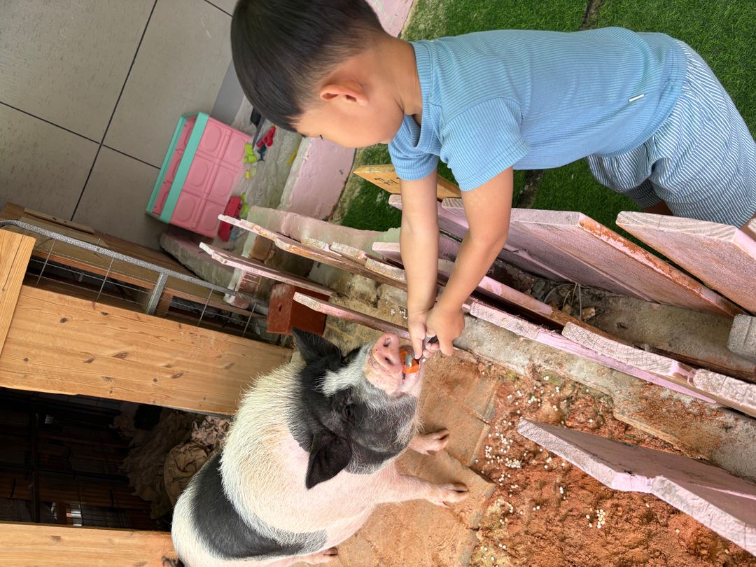 https://image.mom-mom.net/eyJidWNrZXQiOiJtb21tb20tbW9tc3RvdWNoIiwia2V5IjoicGxhY2VzLzZhNDRmZGZlMjZiYTA4NDRmNjNhZmUyZS5qcGVnIiwiZWRpdHMiOnsicmVzaXplIjp7IndpZHRoIjo1MDAsImhlaWdodCI6Mzc1fX19