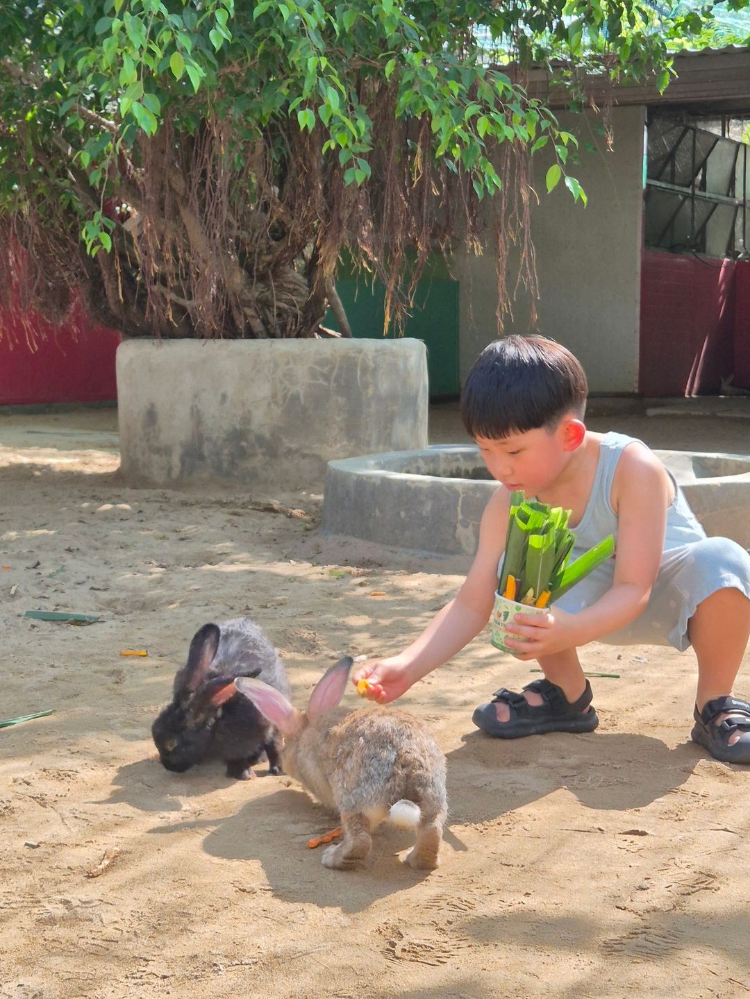 티엔티엔팜앤주(Tiên Tiến Farm & Zoo)