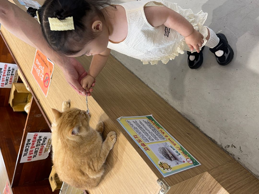 https://image.mom-mom.net/eyJidWNrZXQiOiJtb21tb20tbW9tc3RvdWNoIiwia2V5IjoicGxhY2VzLzZhNjMyMWZlMzYzNGExMjhmYTk3YmU4Yi5qcGVnIiwiZWRpdHMiOnsicmVzaXplIjp7IndpZHRoIjo1MDAsImhlaWdodCI6Mzc1fX19