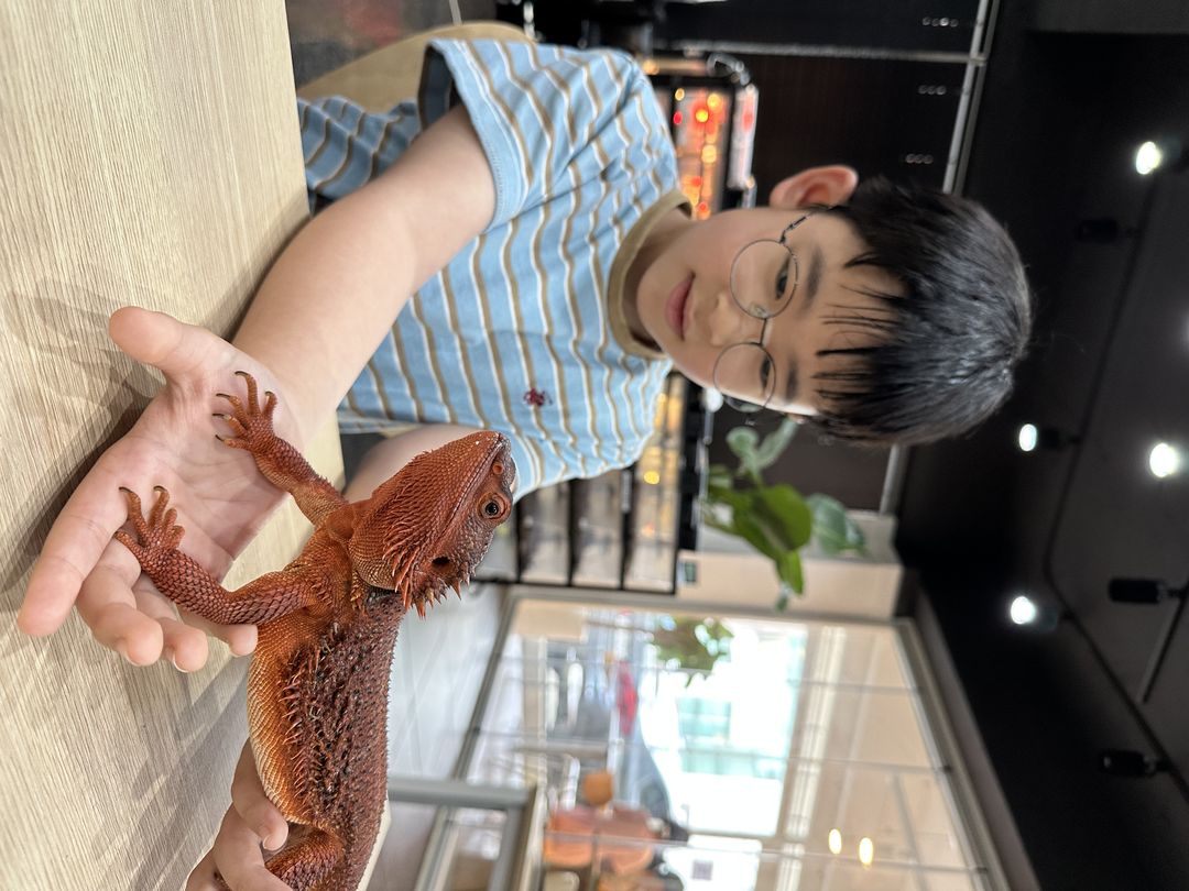 타이니정글