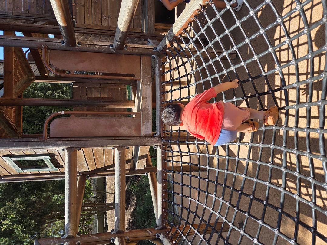 Adventure Playground(어드벤처플레이그라운드)