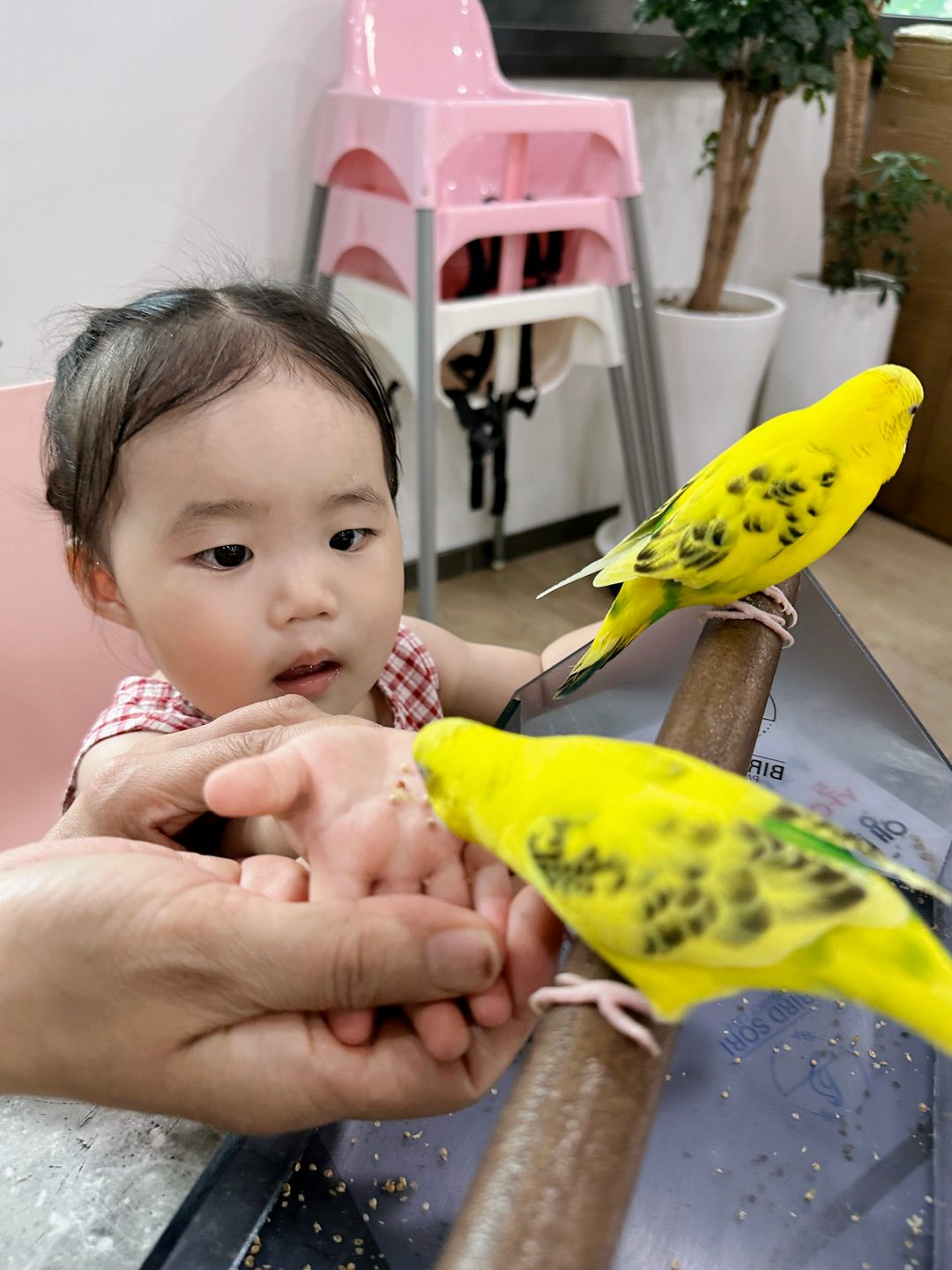 https://image.mom-mom.net/eyJidWNrZXQiOiJtb21tb20tbW9tc3RvdWNoIiwia2V5IjoicGxhY2VzLzZhNmFjMjhlYmU2ZTAxMDgyNDI4NWNkNy5qcGVnIiwiZWRpdHMiOnsicmVzaXplIjp7IndpZHRoIjoxMDgwLCJ3aXRob3V0RW5sYXJnZW1lbnQiOnRydWV9fX0=