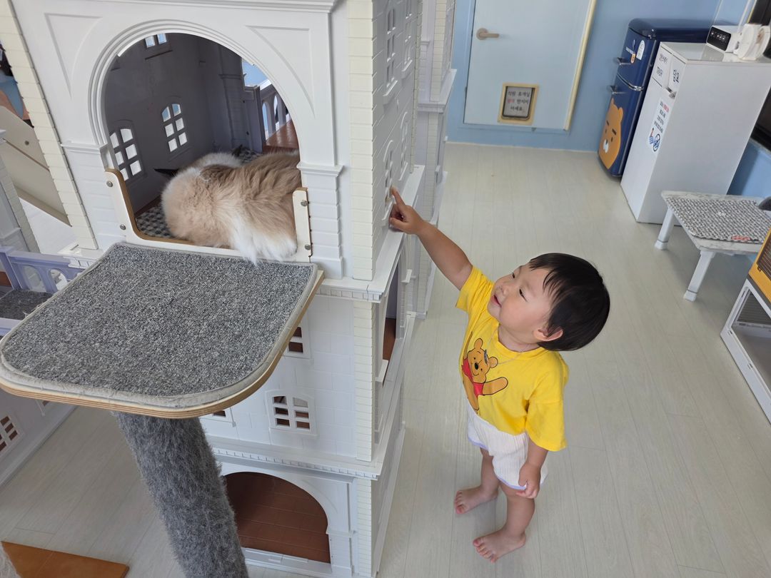 https://image.mom-mom.net/eyJidWNrZXQiOiJtb21tb20tbW9tc3RvdWNoIiwia2V5IjoicGxhY2VzLzZhNzk2MzM4OTQ3YzFmNzUxZmU4YWQ0OS5qcGciLCJlZGl0cyI6eyJyZXNpemUiOnsid2lkdGgiOjUwMCwiaGVpZ2h0IjozNzV9fX0=