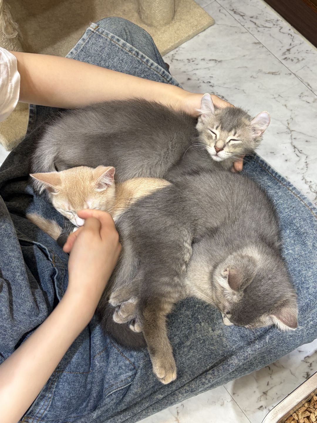 https://image.mom-mom.net/eyJidWNrZXQiOiJtb21tb20tbW9tc3RvdWNoIiwia2V5IjoicGxhY2VzLzZhODdlZjI4YjY5NWQyNTBkNGNmYjJlZC5qcGVnIiwiZWRpdHMiOnsicmVzaXplIjp7IndpZHRoIjozNzUsImhlaWdodCI6NTAwfX19