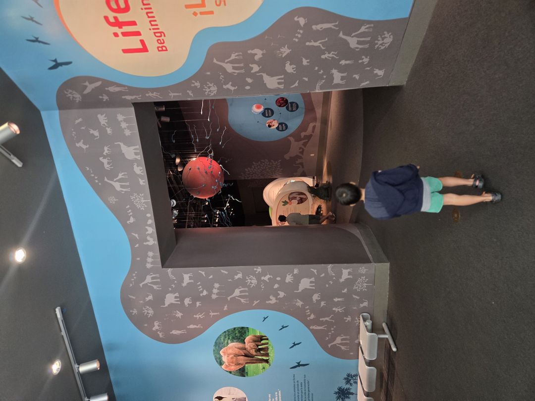 https://image.mom-mom.net/eyJidWNrZXQiOiJtb21tb20tbW9tc3RvdWNoIiwia2V5IjoicGxhY2VzLzZhODlmNmRmNzQxN2I3MzVjYjQ5ODU0MC5qcGciLCJlZGl0cyI6eyJyZXNpemUiOnsid2lkdGgiOjUwMCwiaGVpZ2h0IjozNzV9fX0=