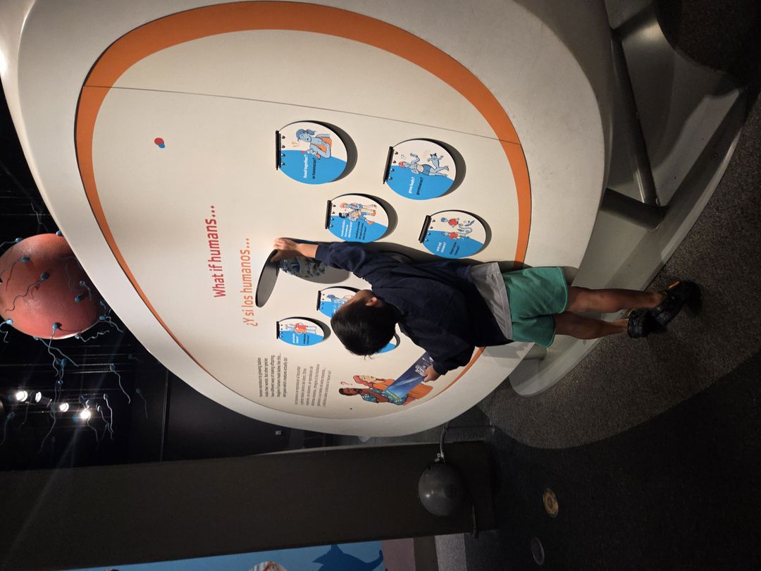California Science Center