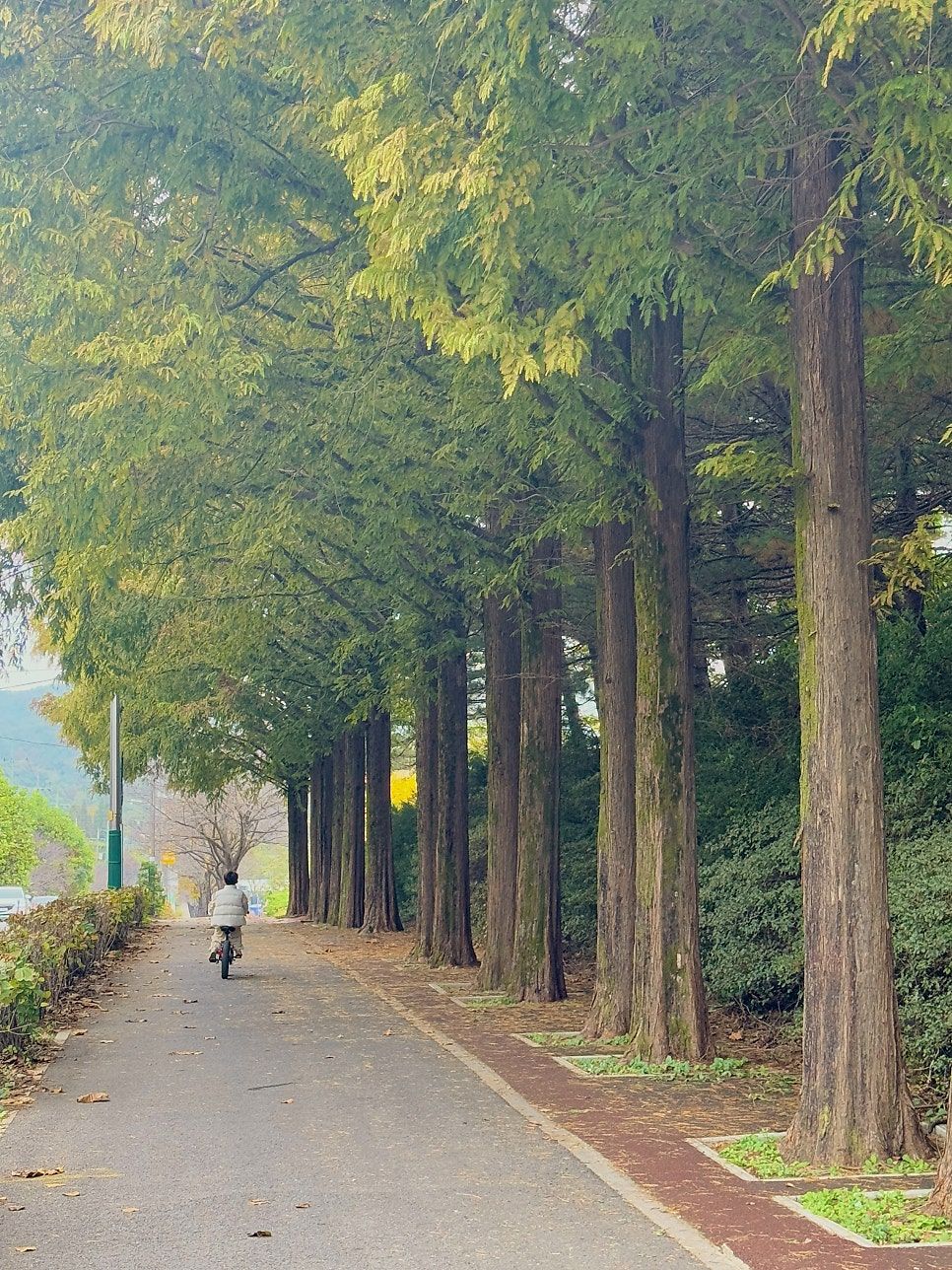 https://image.mom-mom.net/eyJidWNrZXQiOiJtb21tb20tbW9tc3RvdWNoIiwia2V5IjoicGxhY2VzLzZhOTA0NGZiOTBkYzYzOWE2MGRhOWI5Yy5qcGVnIiwiZWRpdHMiOnsicmVzaXplIjp7IndpZHRoIjozNzUsImhlaWdodCI6NTAwfX19