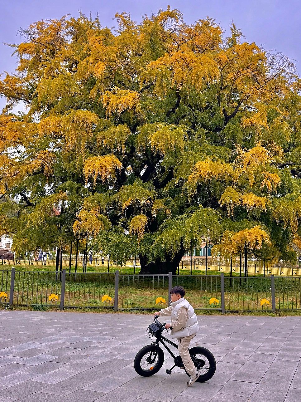 https://image.mom-mom.net/eyJidWNrZXQiOiJtb21tb20tbW9tc3RvdWNoIiwia2V5IjoicGxhY2VzLzZhOTA0NGZiM2FmN2RiYWM2MjVjZDhhNC5qcGVnIiwiZWRpdHMiOnsicmVzaXplIjp7IndpZHRoIjozNzUsImhlaWdodCI6NTAwfX19