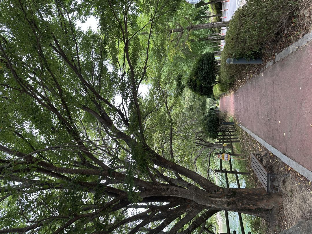 https://image.mom-mom.net/eyJidWNrZXQiOiJtb21tb20tbW9tc3RvdWNoIiwia2V5IjoicGxhY2VzLzZhOTUxN2VmMGZhNTIzYmU5NDVjNzFiNC5qcGVnIiwiZWRpdHMiOnsicmVzaXplIjp7IndpZHRoIjo1MDAsImhlaWdodCI6Mzc1fX19