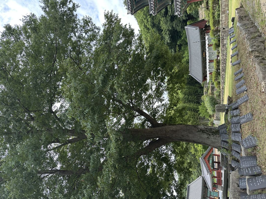 https://image.mom-mom.net/eyJidWNrZXQiOiJtb21tb20tbW9tc3RvdWNoIiwia2V5IjoicGxhY2VzLzZhOTU1ZWY2ZjE3YTA3MDE1NzRmNWRiNC5qcGVnIiwiZWRpdHMiOnsicmVzaXplIjp7IndpZHRoIjo1MDAsImhlaWdodCI6Mzc1fX19