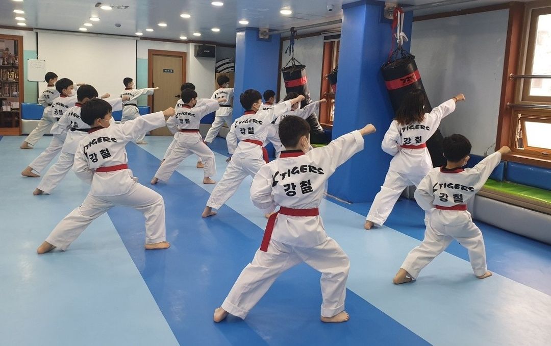 강철태권도 본관
