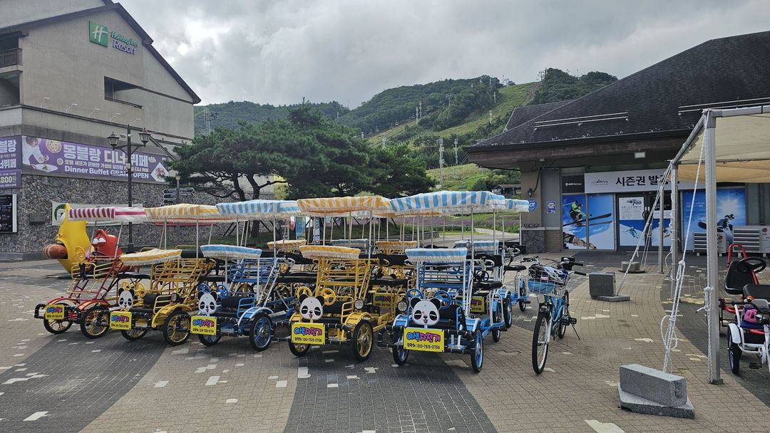 이색자전거 알펜시아점