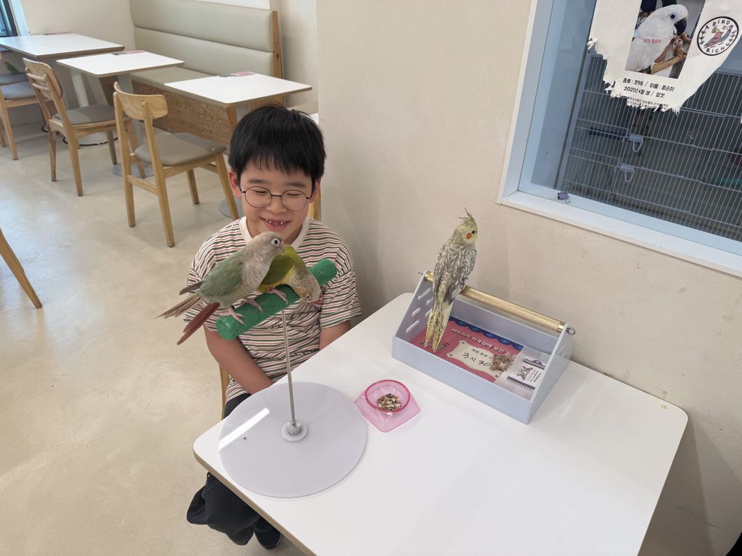 앵무새카페 버드리치