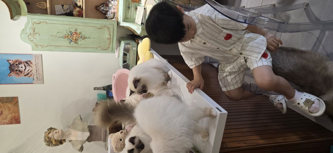 https://image.mom-mom.net/eyJidWNrZXQiOiJtb21tb20tbW9tc3RvdWNoIiwia2V5IjoicGxhY2VzLzZhOWJmY2Y2MGZhNTIzYmU5NDVjOTY0My5qcGciLCJlZGl0cyI6eyJyZXNpemUiOnsid2lkdGgiOjUwMCwiaGVpZ2h0IjoyMzF9fX0=