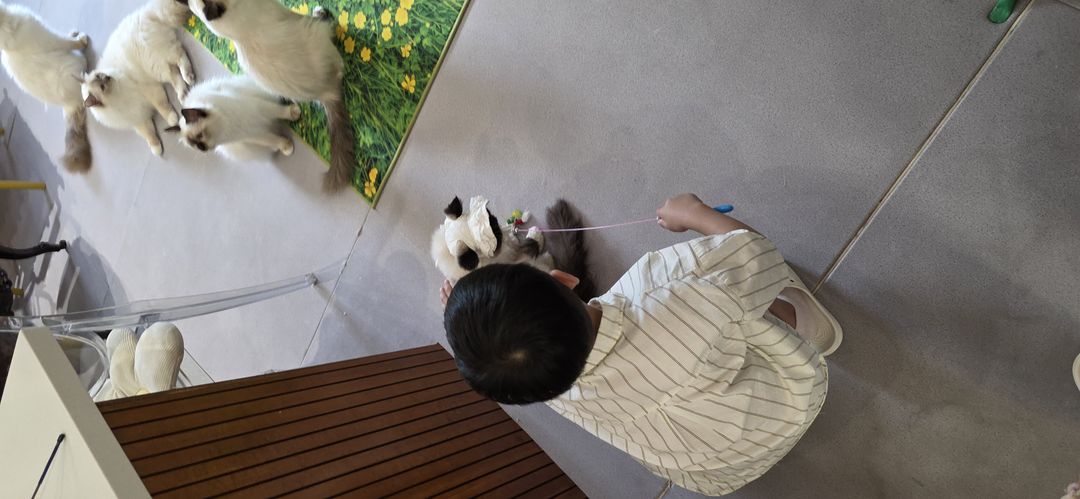 https://image.mom-mom.net/eyJidWNrZXQiOiJtb21tb20tbW9tc3RvdWNoIiwia2V5IjoicGxhY2VzLzZhOWJmY2Y2ZDBiMjgwZmQyOTE4NWNkZC5qcGciLCJlZGl0cyI6eyJyZXNpemUiOnsid2lkdGgiOjUwMCwiaGVpZ2h0IjoyMzF9fX0=