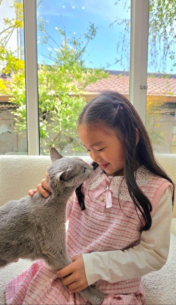 비스캣고양이카페