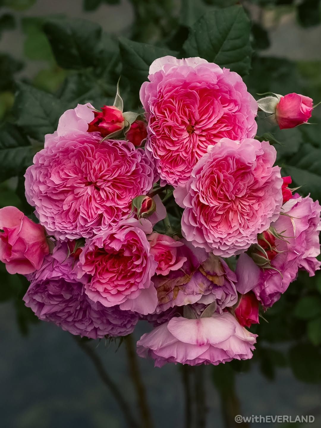 https://image.mom-mom.net/eyJidWNrZXQiOiJtb21tb20tbW9tc3RvdWNoIiwia2V5IjoicGxhY2VzLzZhMDJjYzJjNTk1YzQxNjlkYWMwOGQ0OC5oZWljIiwiZWRpdHMiOnsicmVzaXplIjp7IndpZHRoIjozNzUsImhlaWdodCI6NTAwfX19